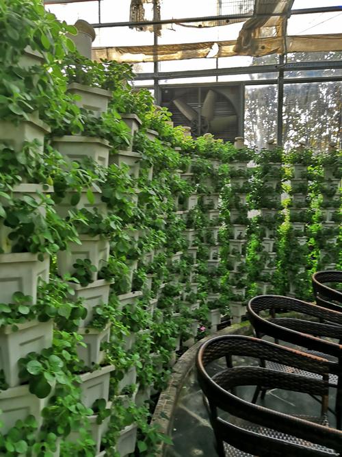 2020年长沙市蔬果设施栽培科技创新与现代设施农业培训班
