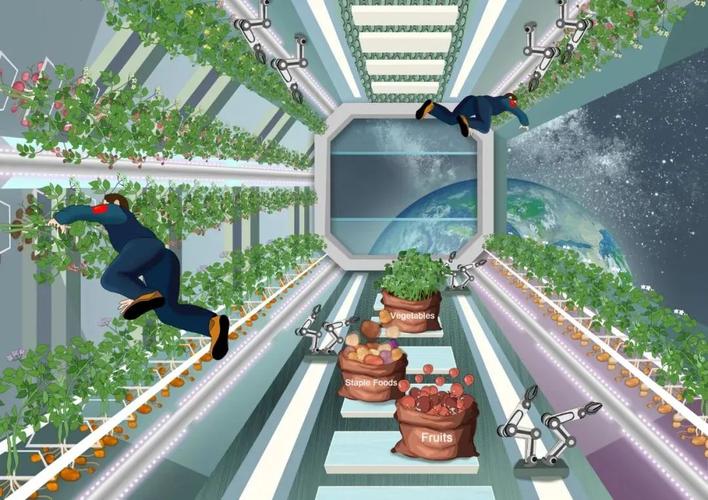中国科学家提出太空农业植物种植解决方案研发全株可食用精英植物